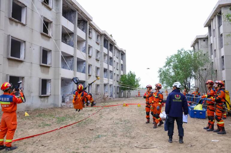 海麗雅集團 海麗雅集團
